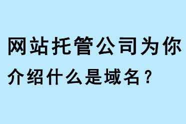 網(wǎng)站托管公司為你介紹什么是域名