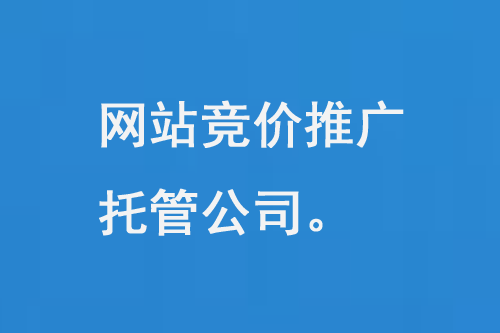 網(wǎng)站競(jìng)價(jià)推廣托管公司