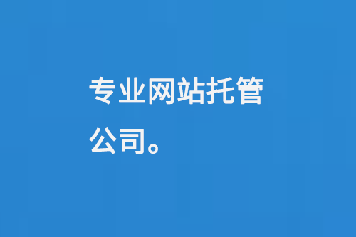 專業(yè)網(wǎng)站托管公司